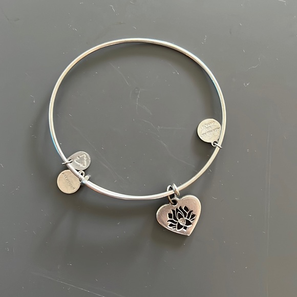 Alex & Ani bracelets - Picture 6 of 7